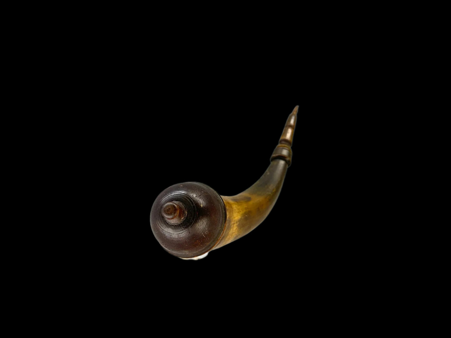 Berks County Horn 7/25