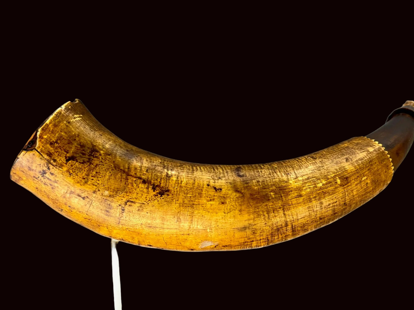 Early Engrailed Rev War horn