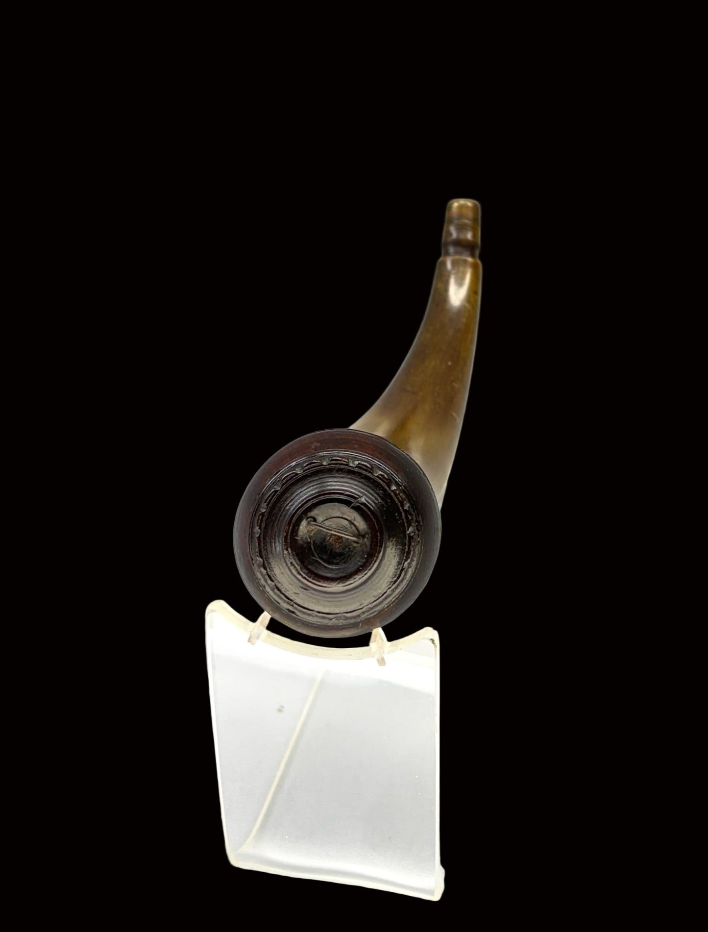 Small York Horn Nov25