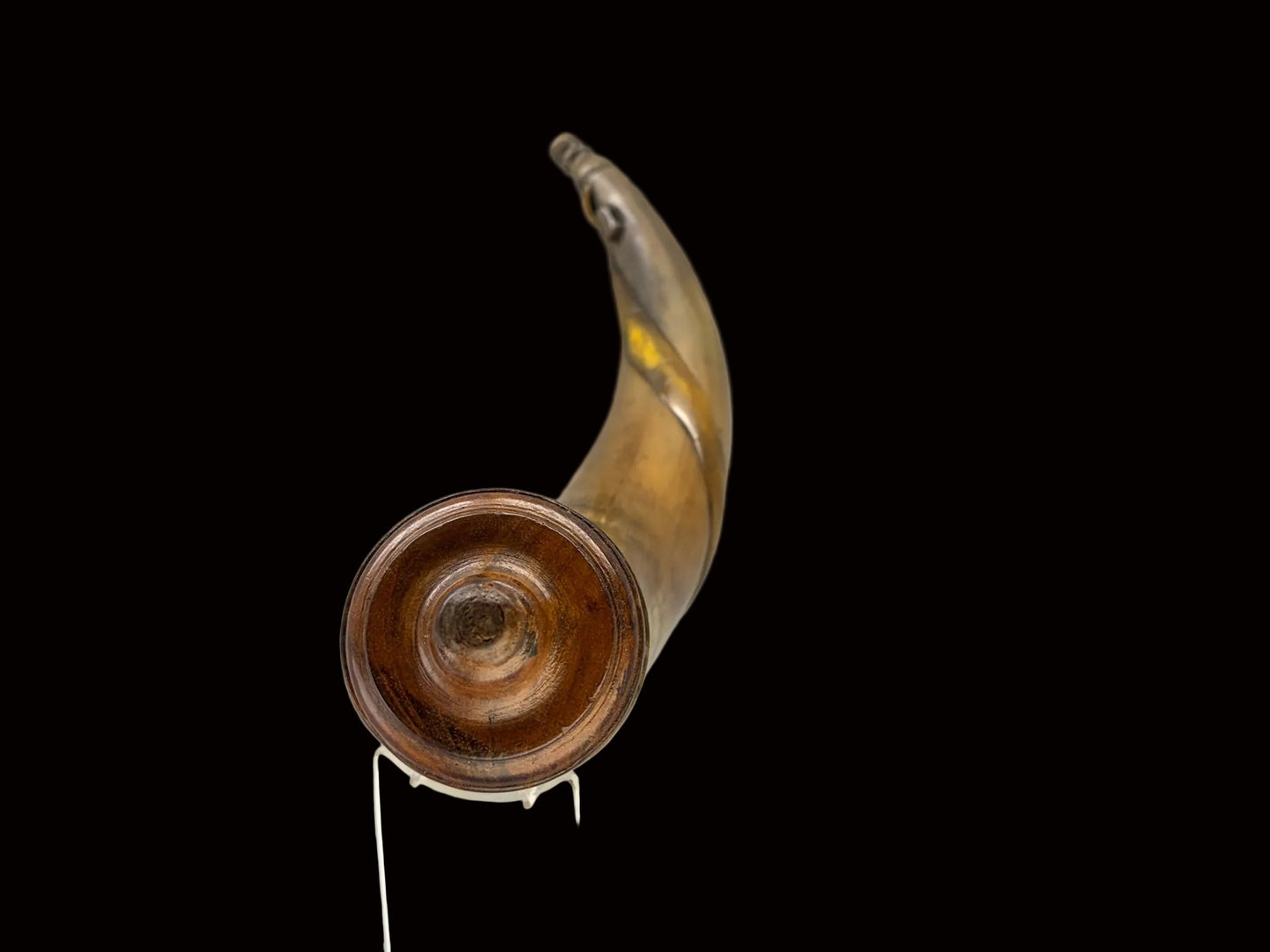 Lizard and Snake Horn