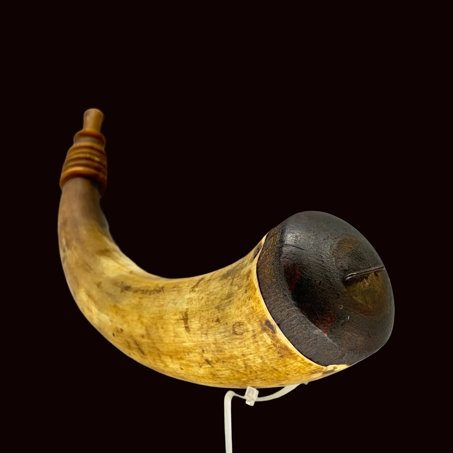 Center County screw tip horn SEPT26