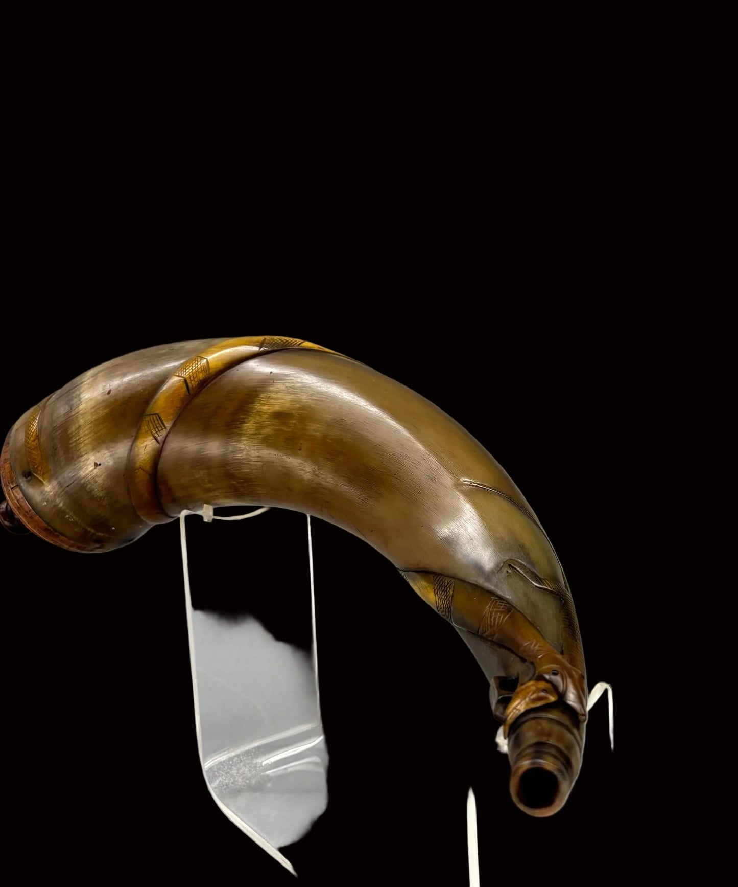 Lizard and Snake Horn