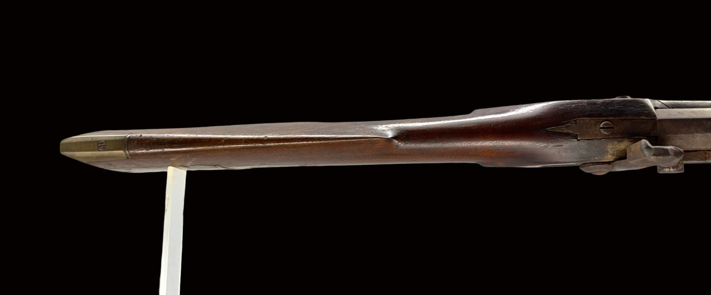 Signed Moll Rifle July 26