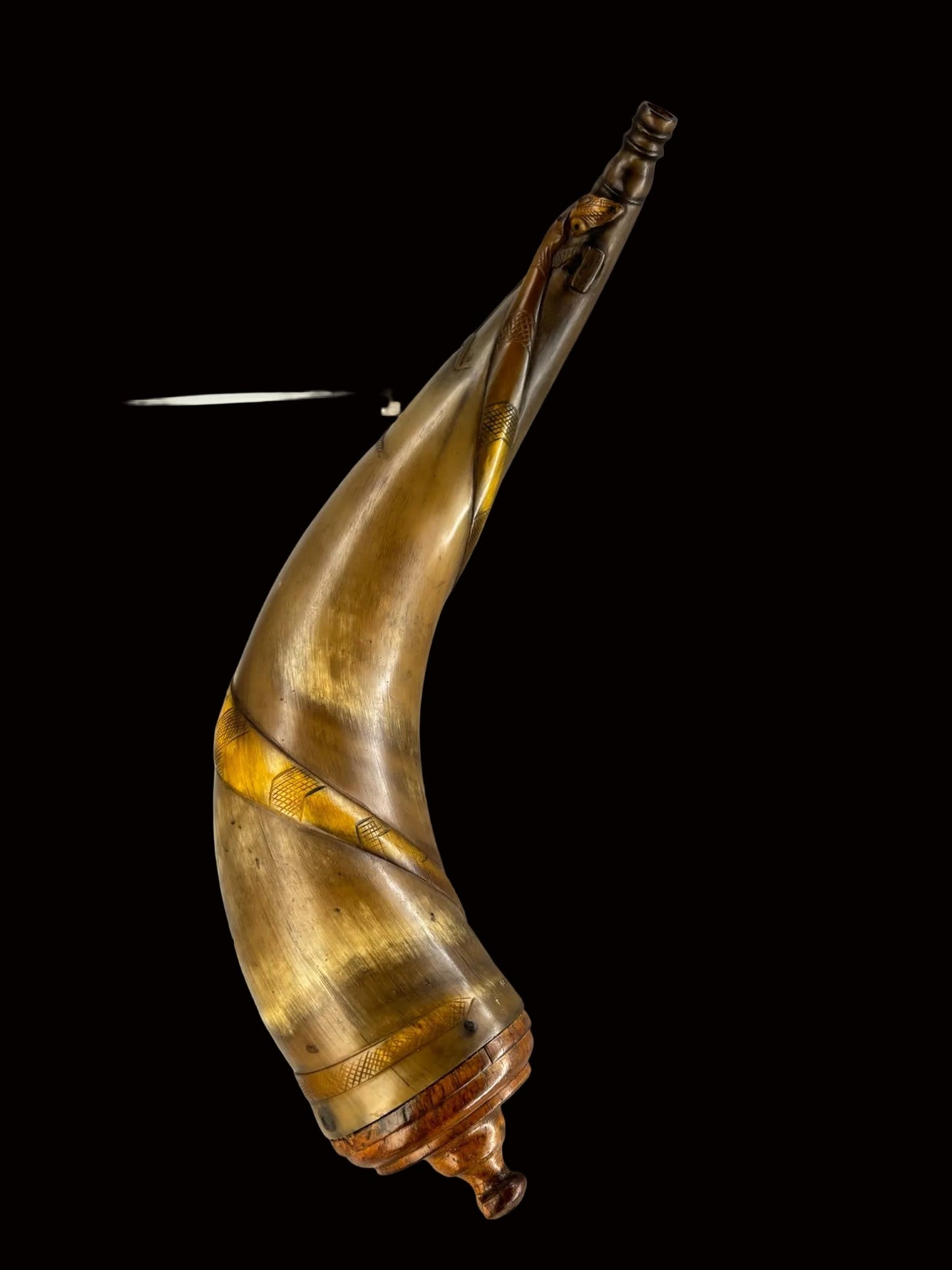 Lizard and Snake Horn