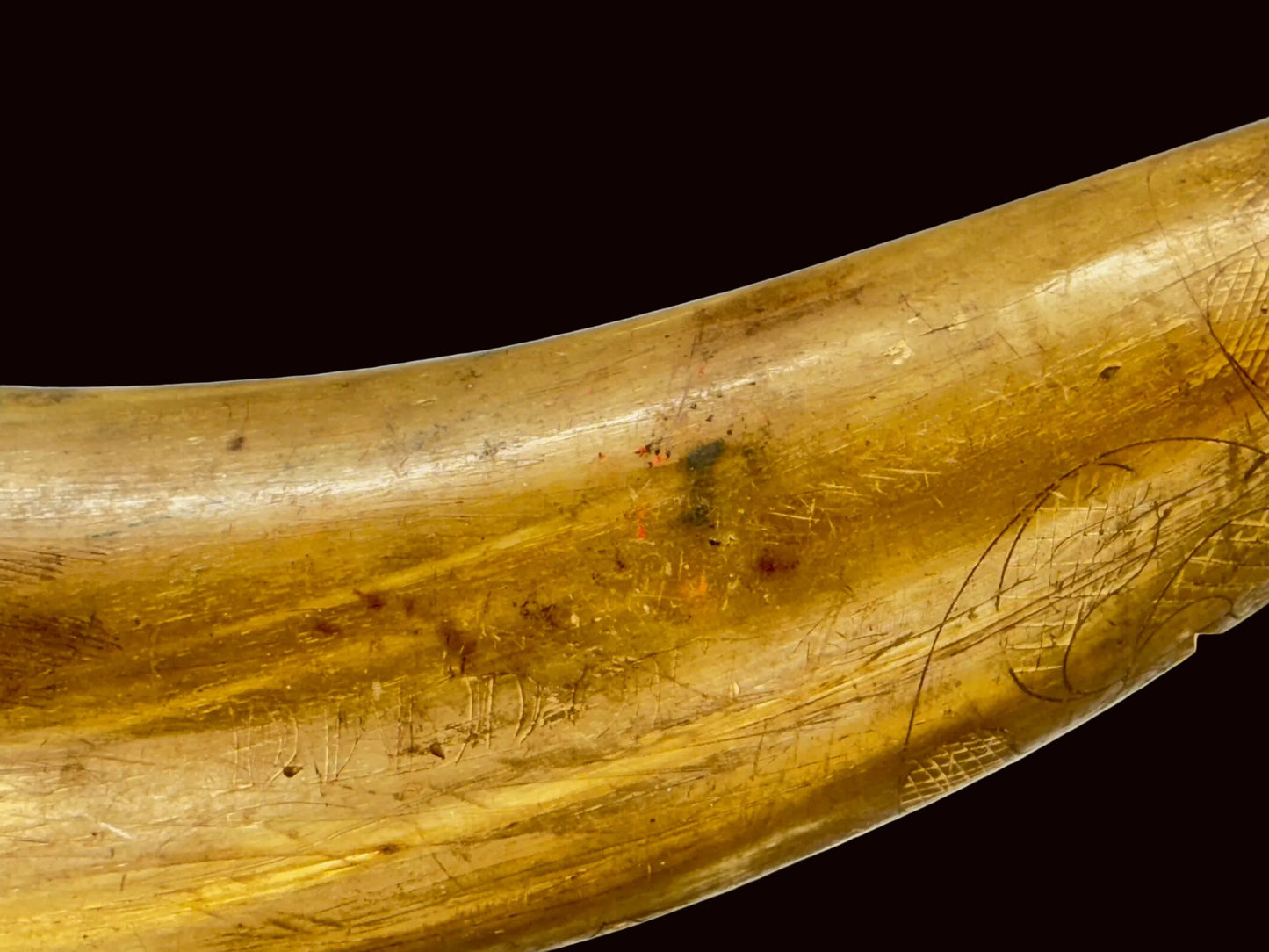 Early Hex Engraved horn with green painted plug