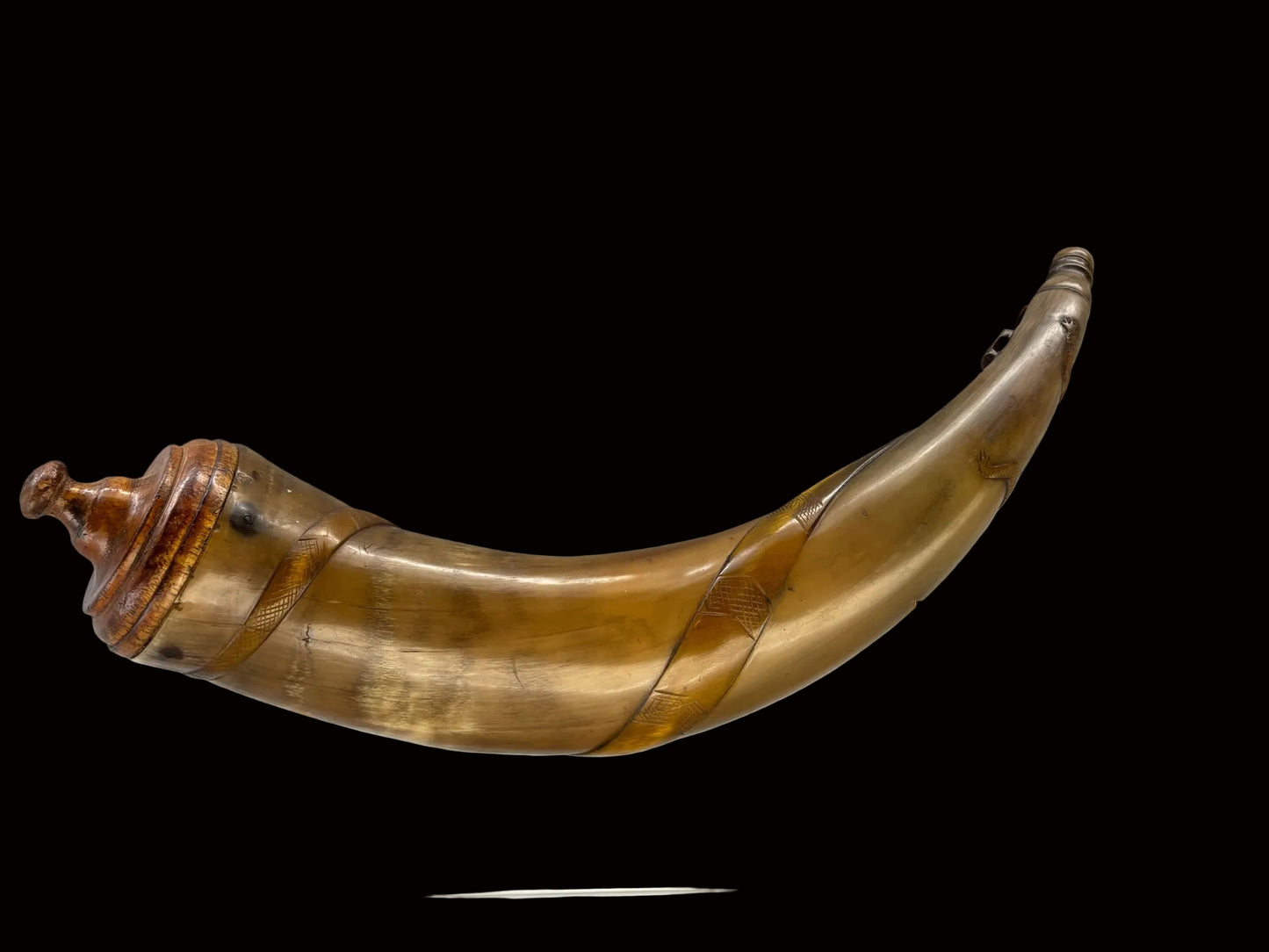 Lizard and Snake Horn