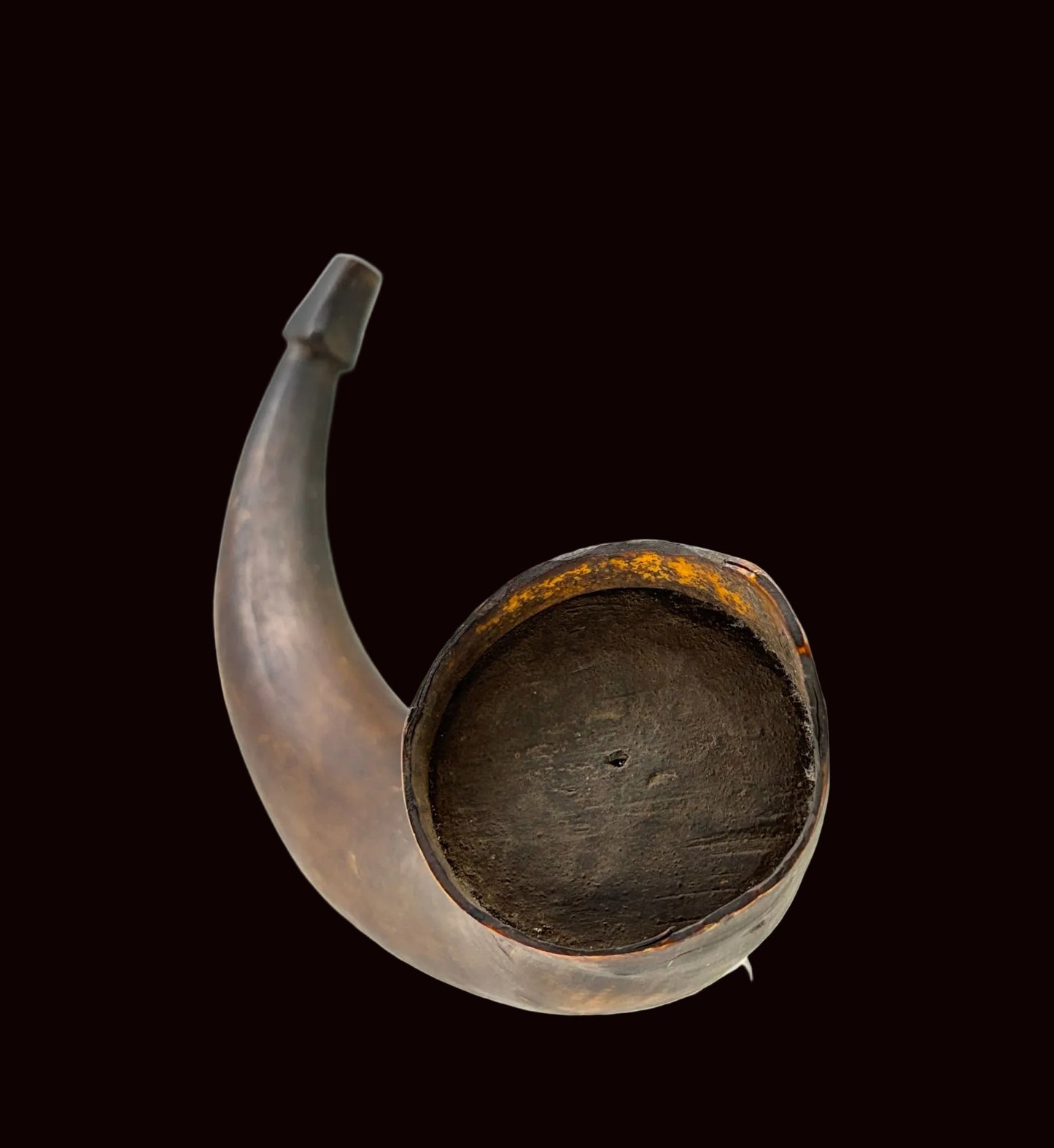 F&I Militia Horn