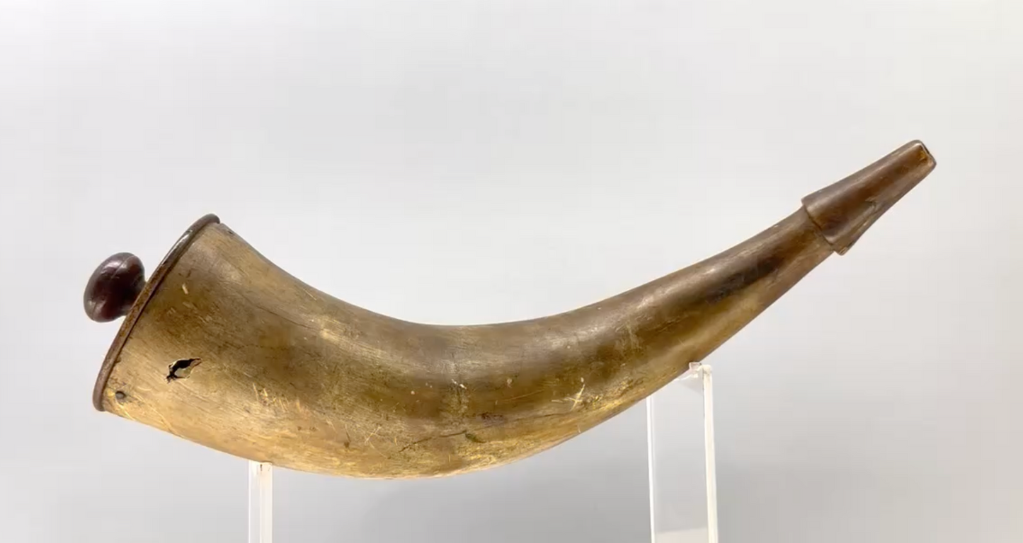 Virtual Show Large Early Horn