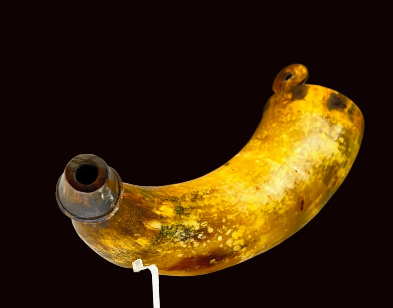 French and Indian War Lobed Horn